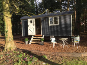 Гостиница Chez Marguerite Luxury Shepherd's Hut  Холт